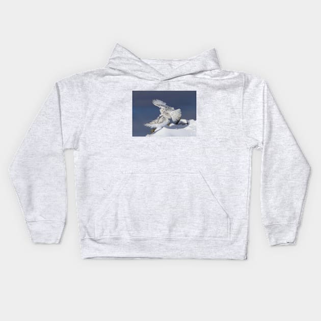 Snowy Owl taking flight Kids Hoodie by Jim Cumming